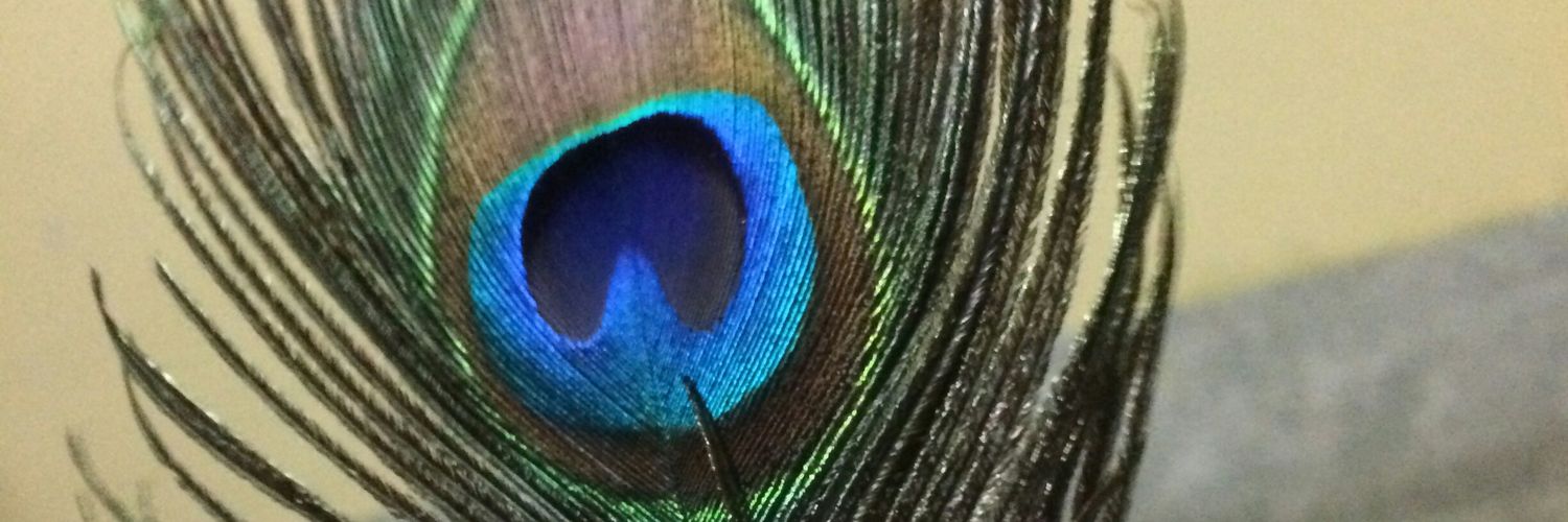 ferrorocher2's profile banner image