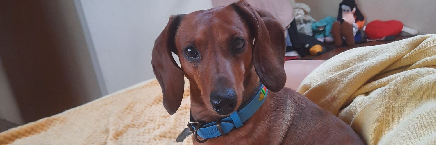 barryalva's profile banner image