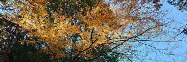 goroazarashi Profile Banner