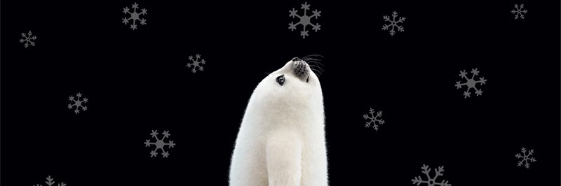 igo_chan's profile banner image