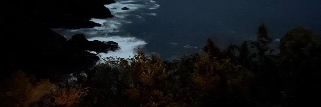 m_9rd's profile banner image