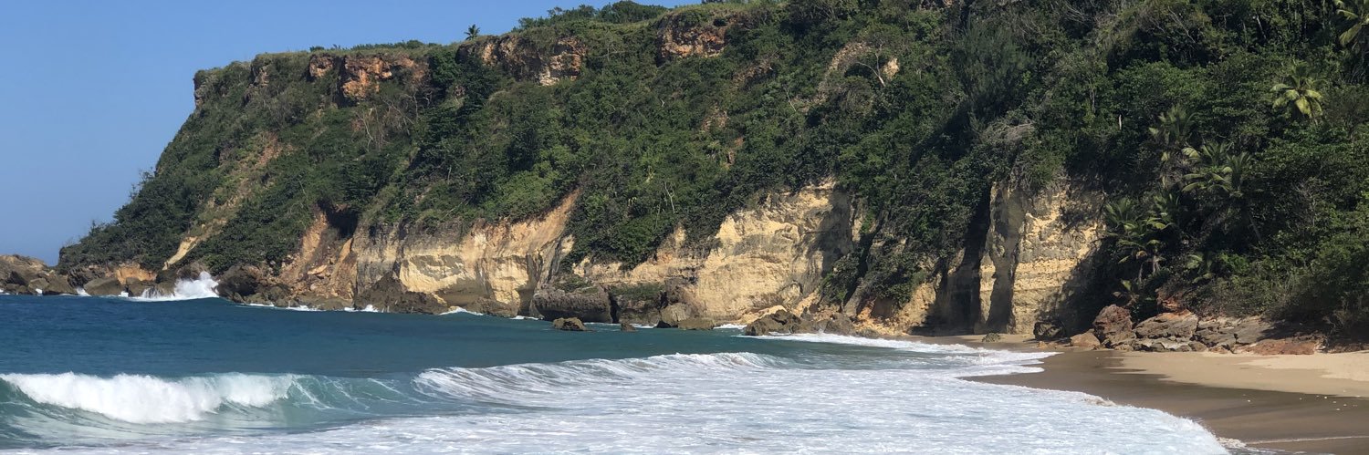 Dr. Gabe 🥥 🌴 banner