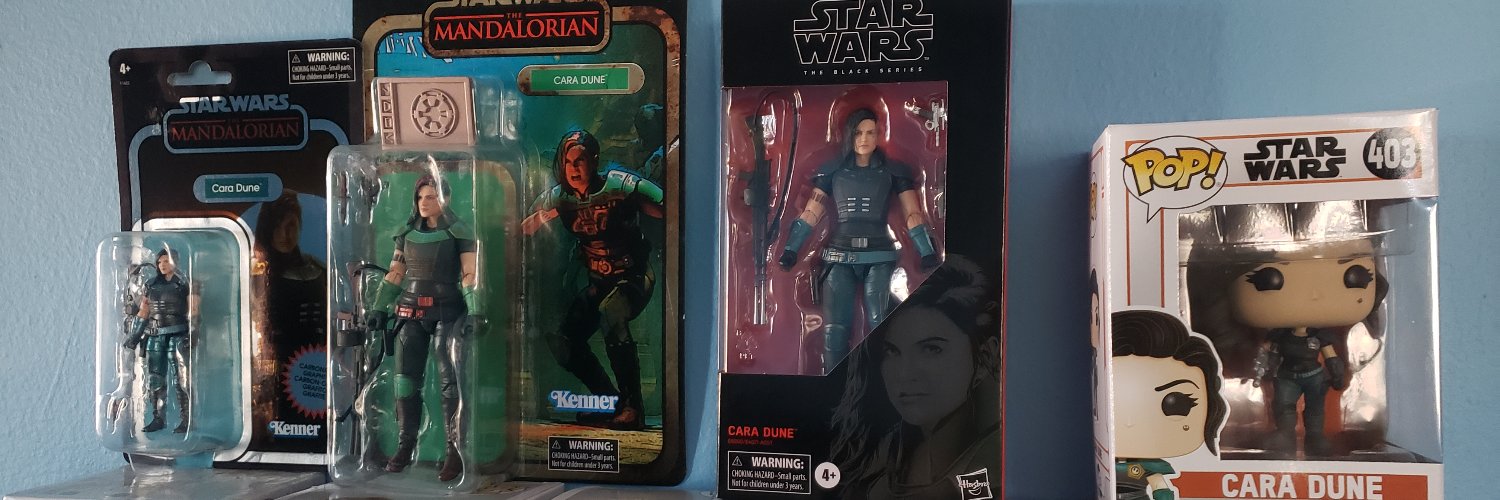 Dollar General Tico banner