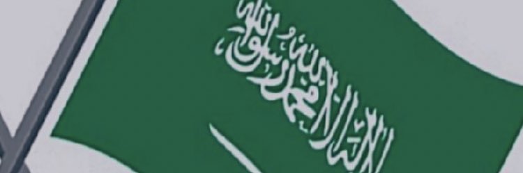 🌴سليمان الدهيمان🌴 banner