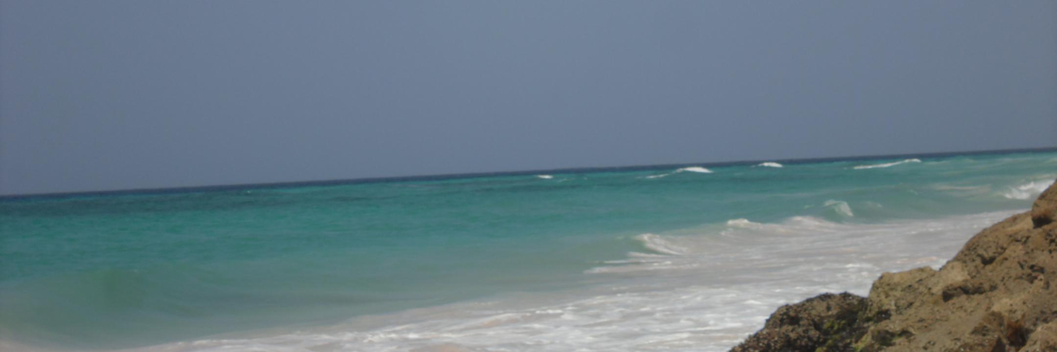 Loren_Jenkins's profile banner image