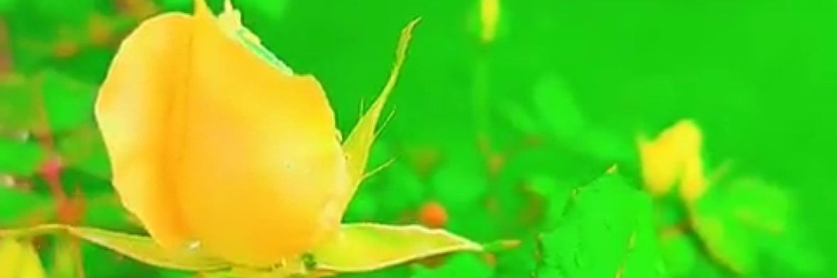 Lolymon2009's profile banner image