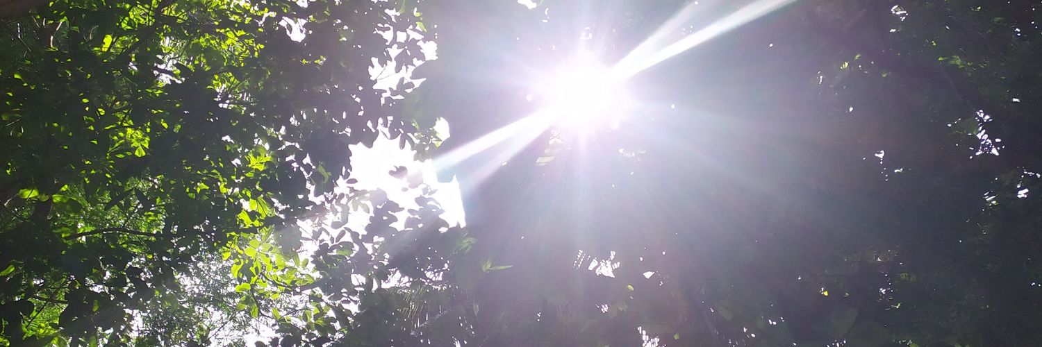 weird_stuff25's profile banner image