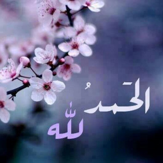 النايفه banner