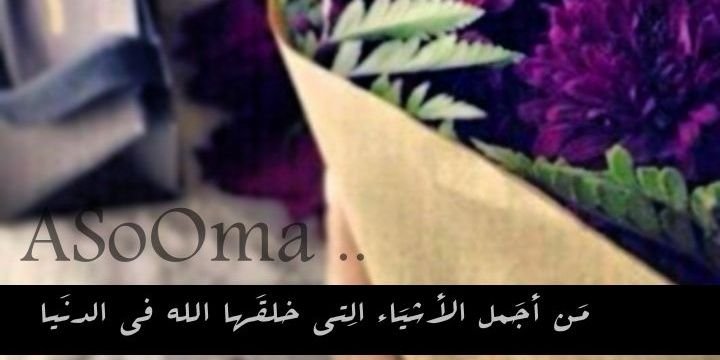 22Faifi's profile banner image