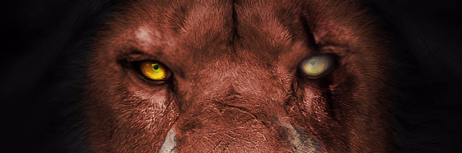 Chamiix95's profile banner image