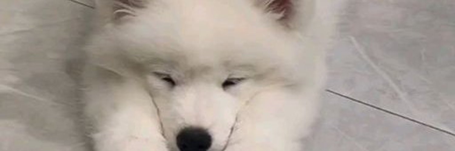 DemDoryan's profile banner image