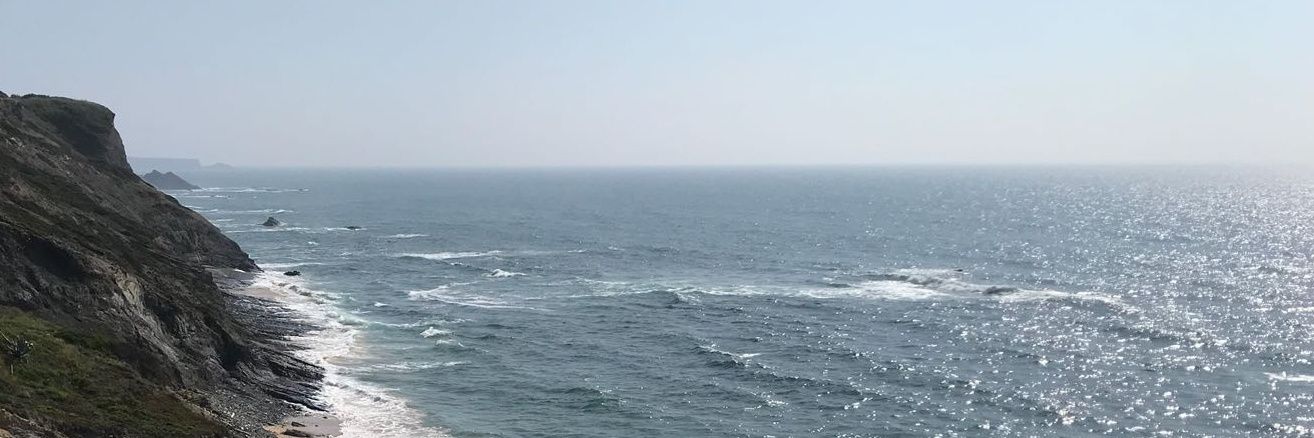 Martin Ortega banner