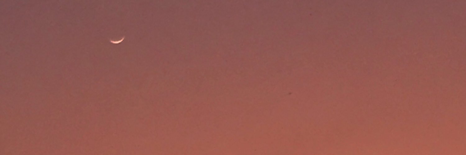 NuerGic's profile banner image