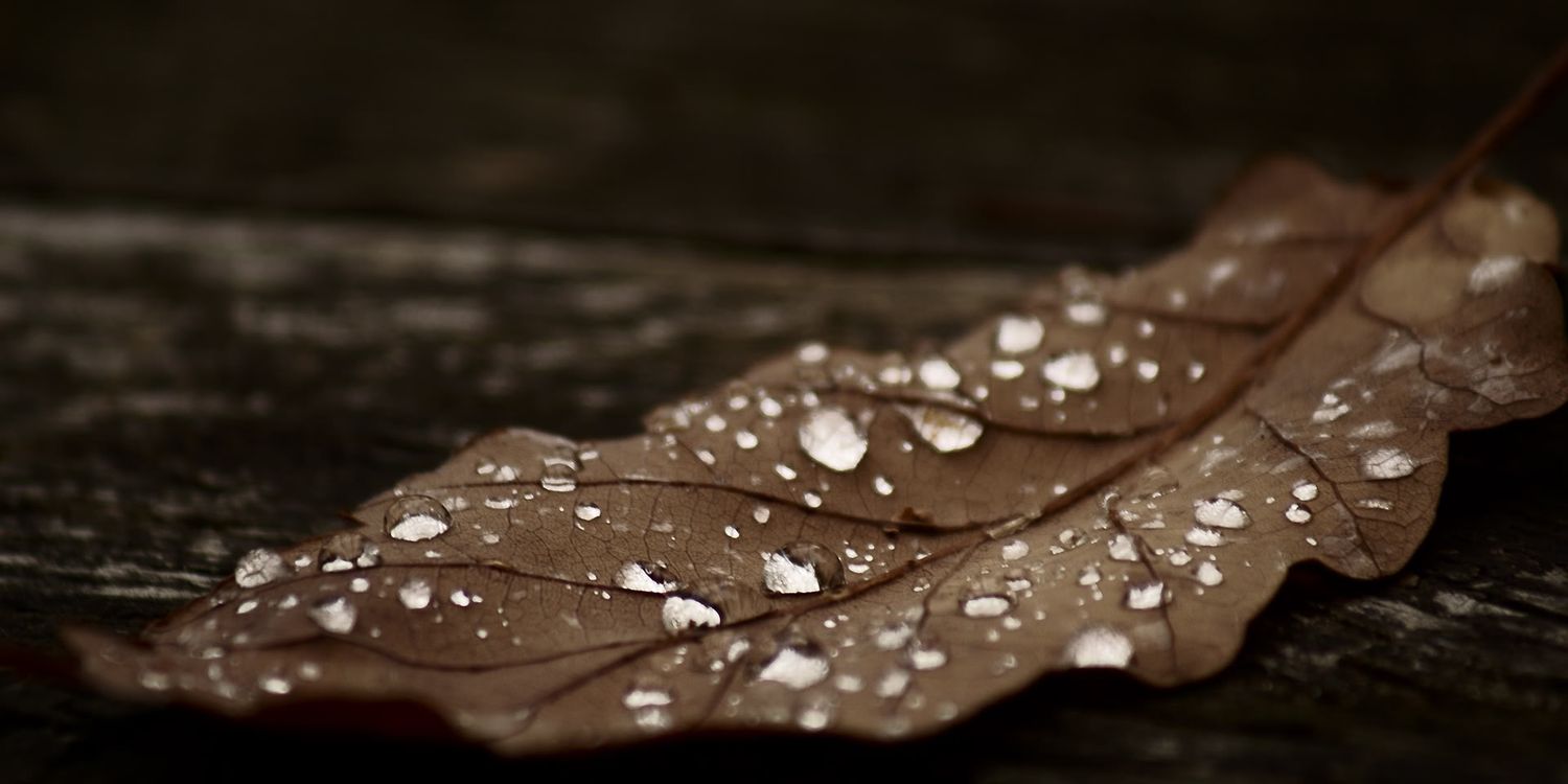 JehanSense's profile banner image