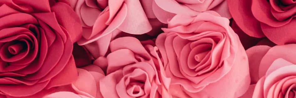 leaysia's profile banner image