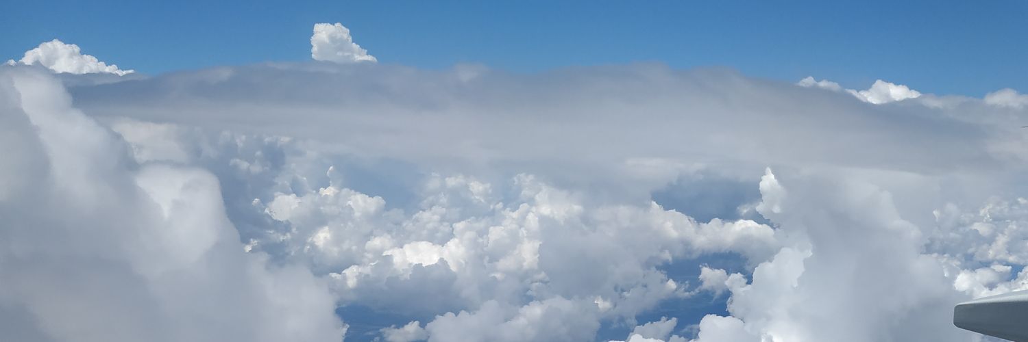 Alicekusisini's profile banner image