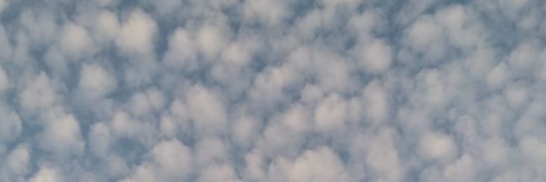 RodrigoZura's profile banner image