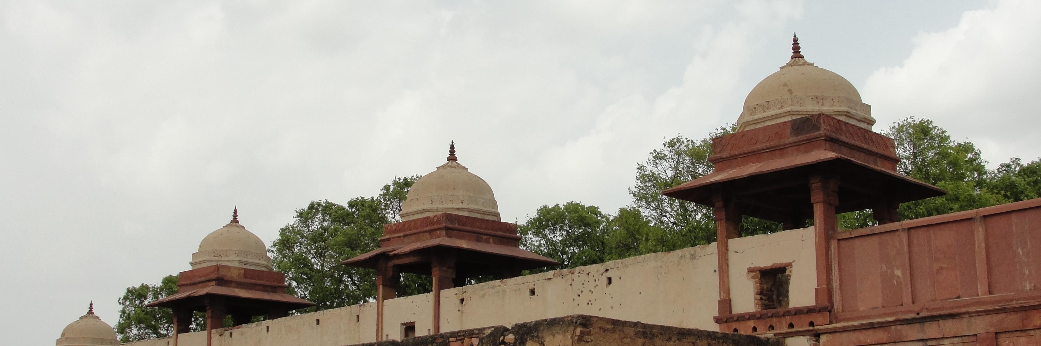 mridulgro's profile banner image