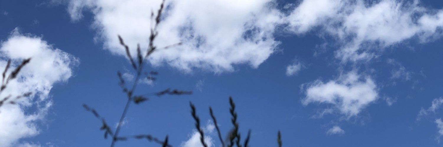 KingKenan98's profile banner image