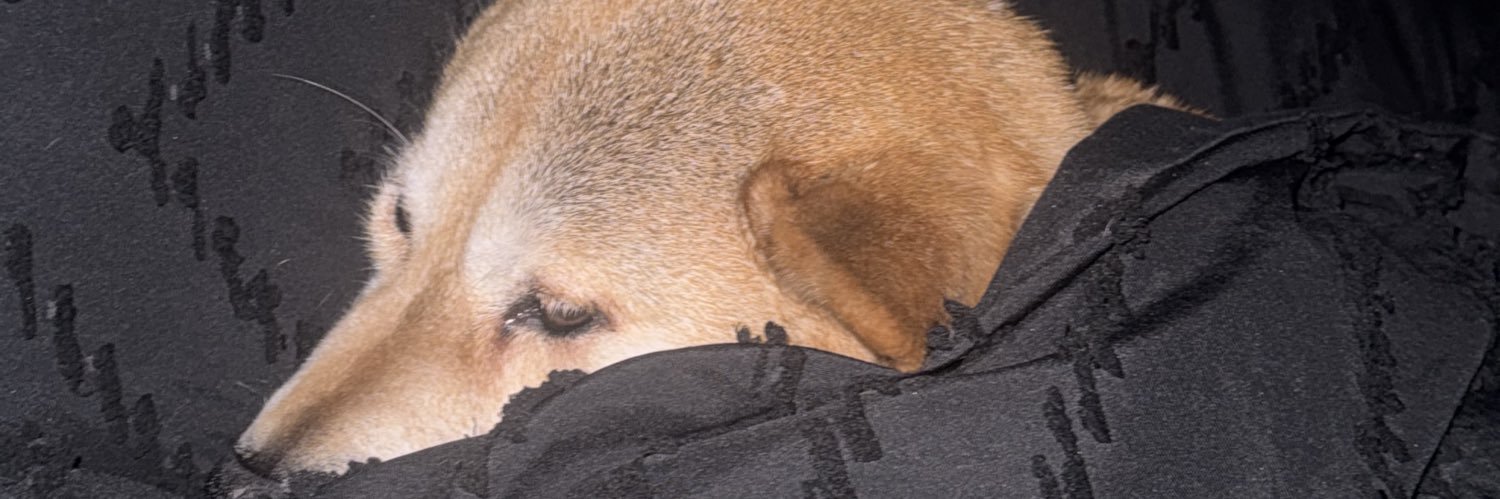 deadbeat valentine banner