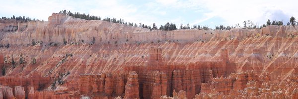 ChantelCharleb Profile Banner