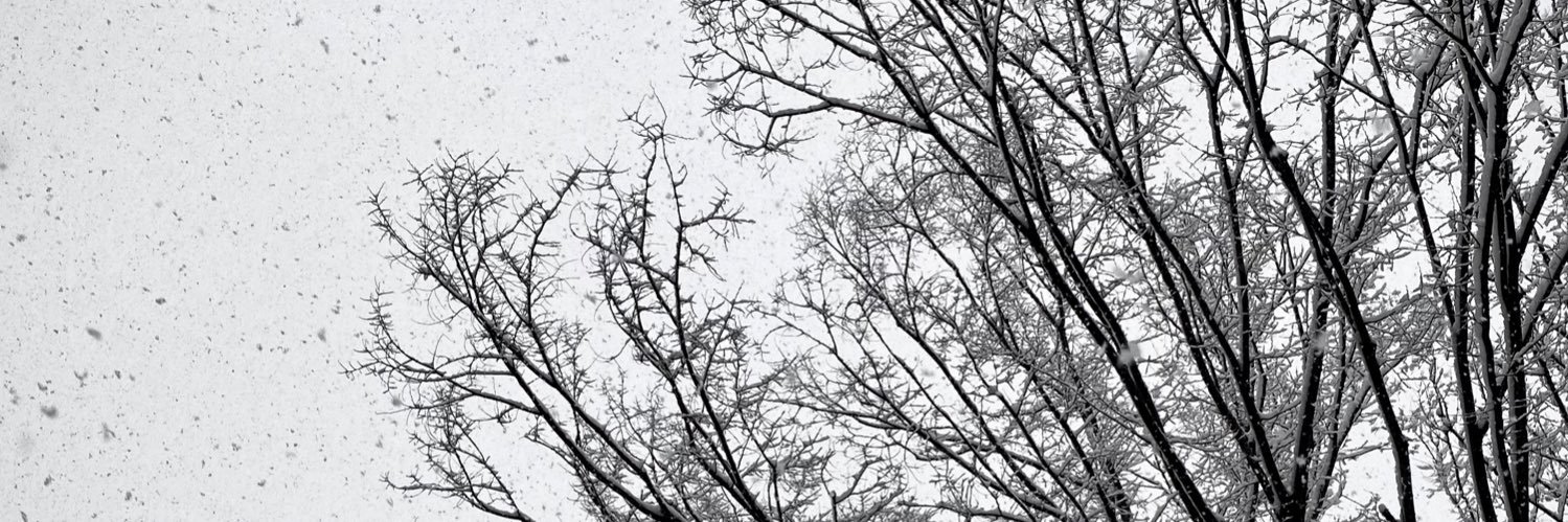 𝚜𝚊𝚎𝚛𝚊. banner