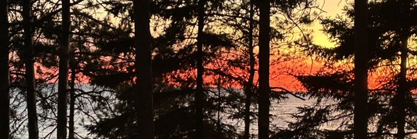 RobinMartinPC Profile Banner