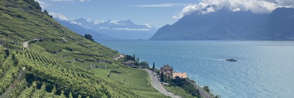 VDittli Profile Banner