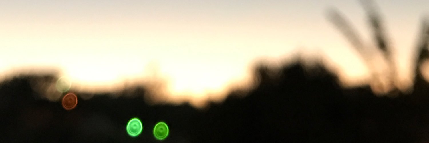 vkvanelopez's profile banner image