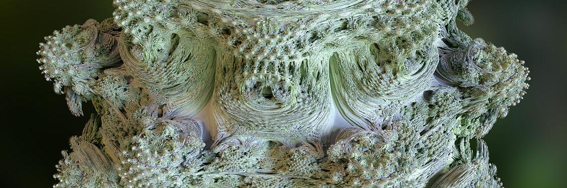 Hubert Wassner banner