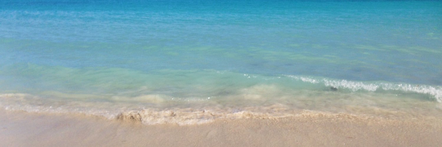 ashleyybod's profile banner image