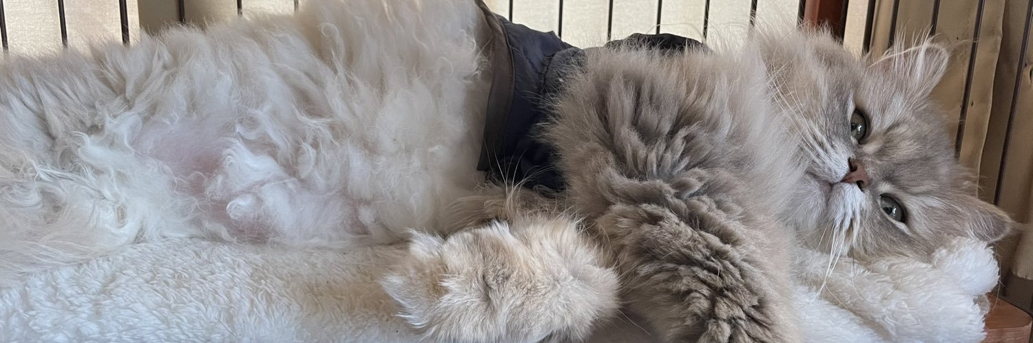 なのぐらむ banner