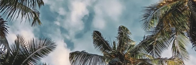 DevonRCTobin's profile banner image