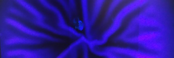 nish_shant Profile Banner