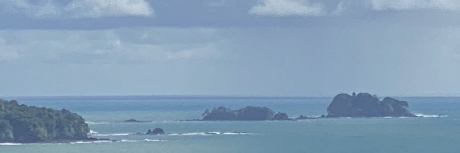 LuisSamuelMon's profile banner image