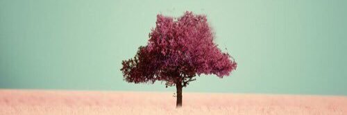 surreal_hours's profile banner image