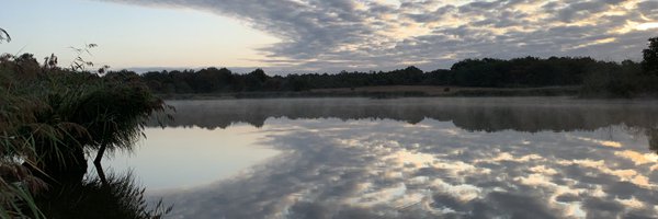 rcastaing Profile Banner