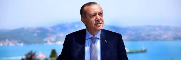 fidanngull Profile Banner