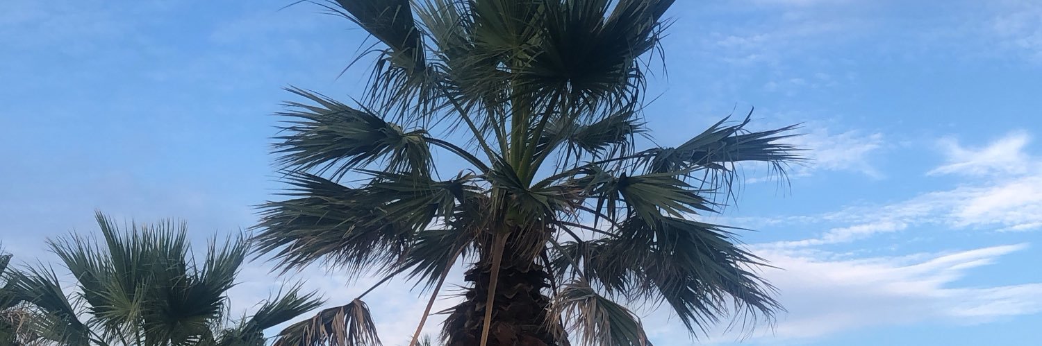 afadadaa's profile banner image