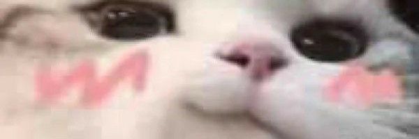 Sof~desu banner