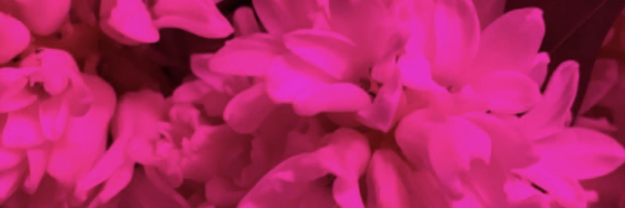 MoniiGamboa's profile banner image