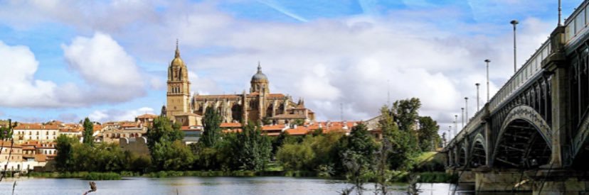 Amparo Lopez Bernus banner