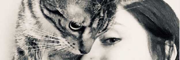 evecapella's profile banner image