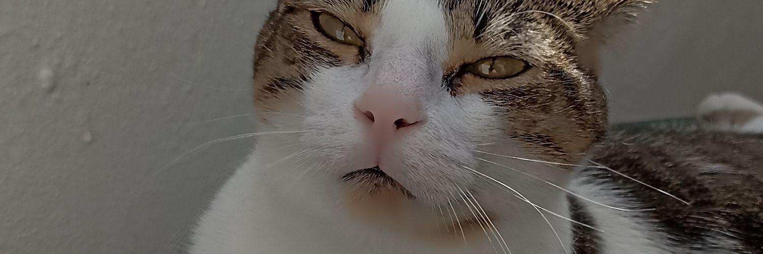Nikou1990's profile banner image