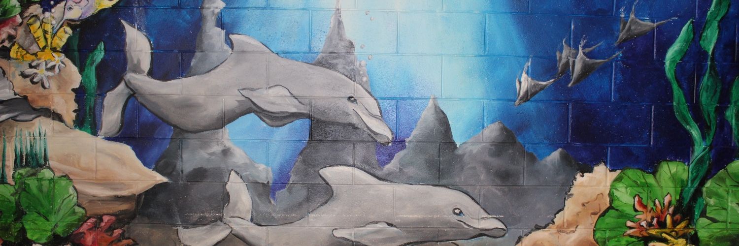 Northern Shores Elementary School banner