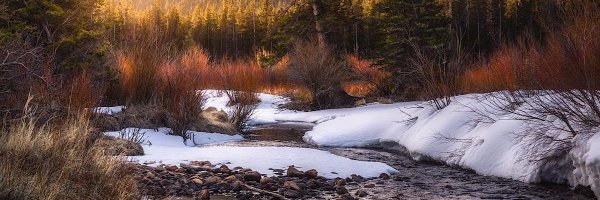 PeterCarlsonMD Profile Banner