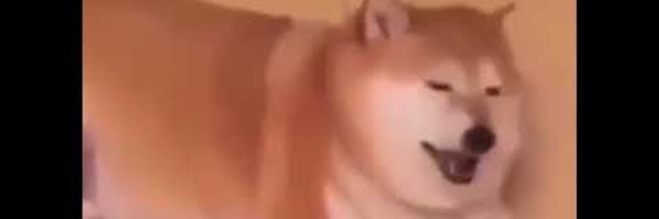 Forkyyyyyyyyy Profile Banner