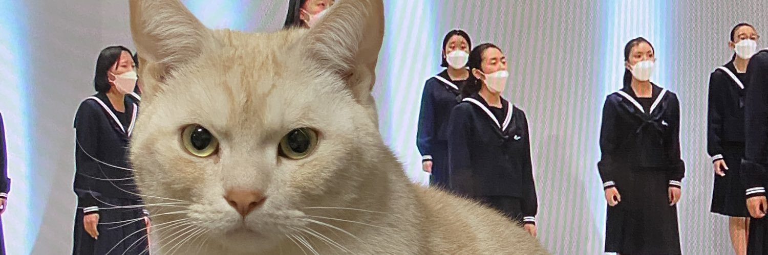 junkun_jun's profile banner image