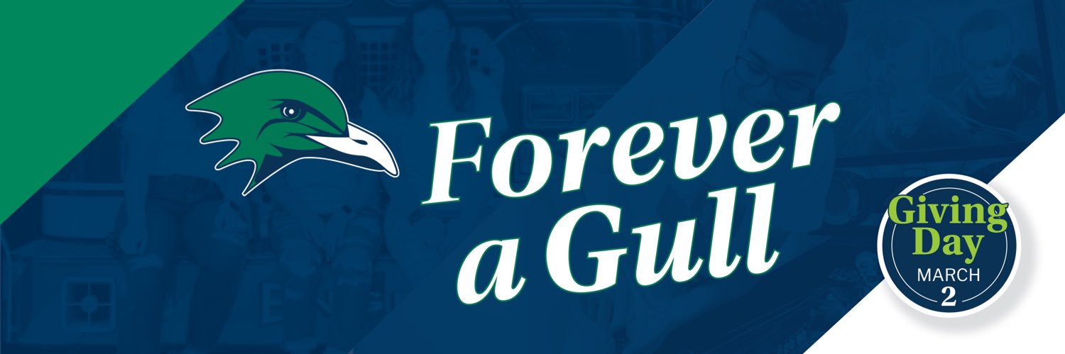 Endicott Men's VB banner