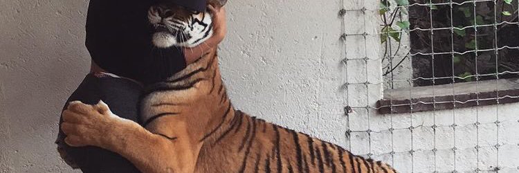 austindhillon's profile banner image